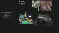 thumbnail for 2026 ISELP Advanced Course